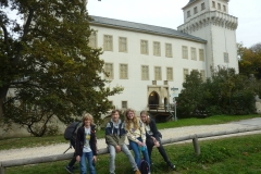 Asparn_10