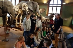 naturhistorisch04