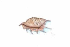 zeichnen_12