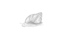 zeichnen_14