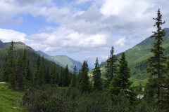 IMG_20240626_103805