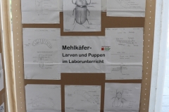 04_web