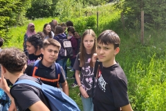 IMG_20240514_101719291