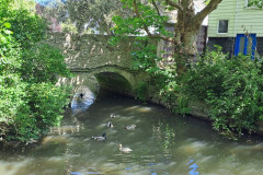 Bild4