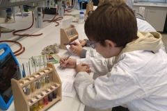 4e_chemiuni4