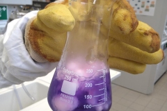 4e_chemiuni5