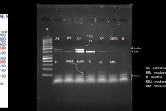Ergebnis