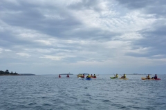 IMG-20240919-WA0023