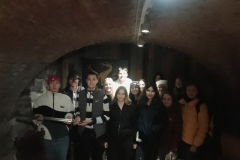 6c_Schallaburg_10
