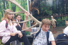 Bild1