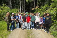 Bild7