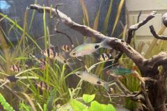 WhatsApp-Bild-2025-10-31-um-10.58.44_adb3cbe1