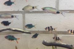 WhatsApp-Bild-2025-10-31-um-10.58.51_95b6df62