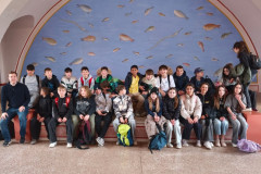 WhatsApp-Image-2026-03-24-at-20.31.47