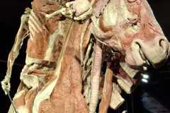 WhatsApp-Image-2026-01-26-at-14.41.27