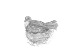 Lisa_1