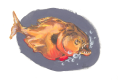 Nora_Piranha_