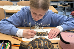 schildkroete