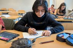 schildkroete2