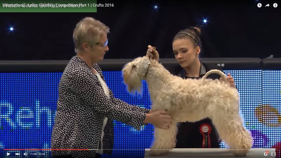 Jana Hofer „Best Austrian Junior Handler of the Year 2015″