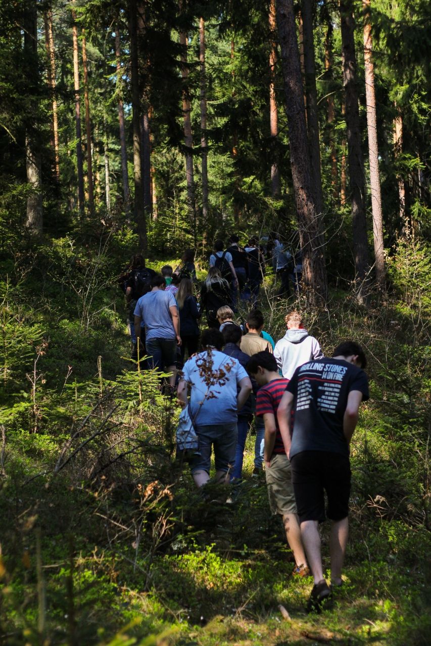 2f gewinnt Waldjugendspiele 2018