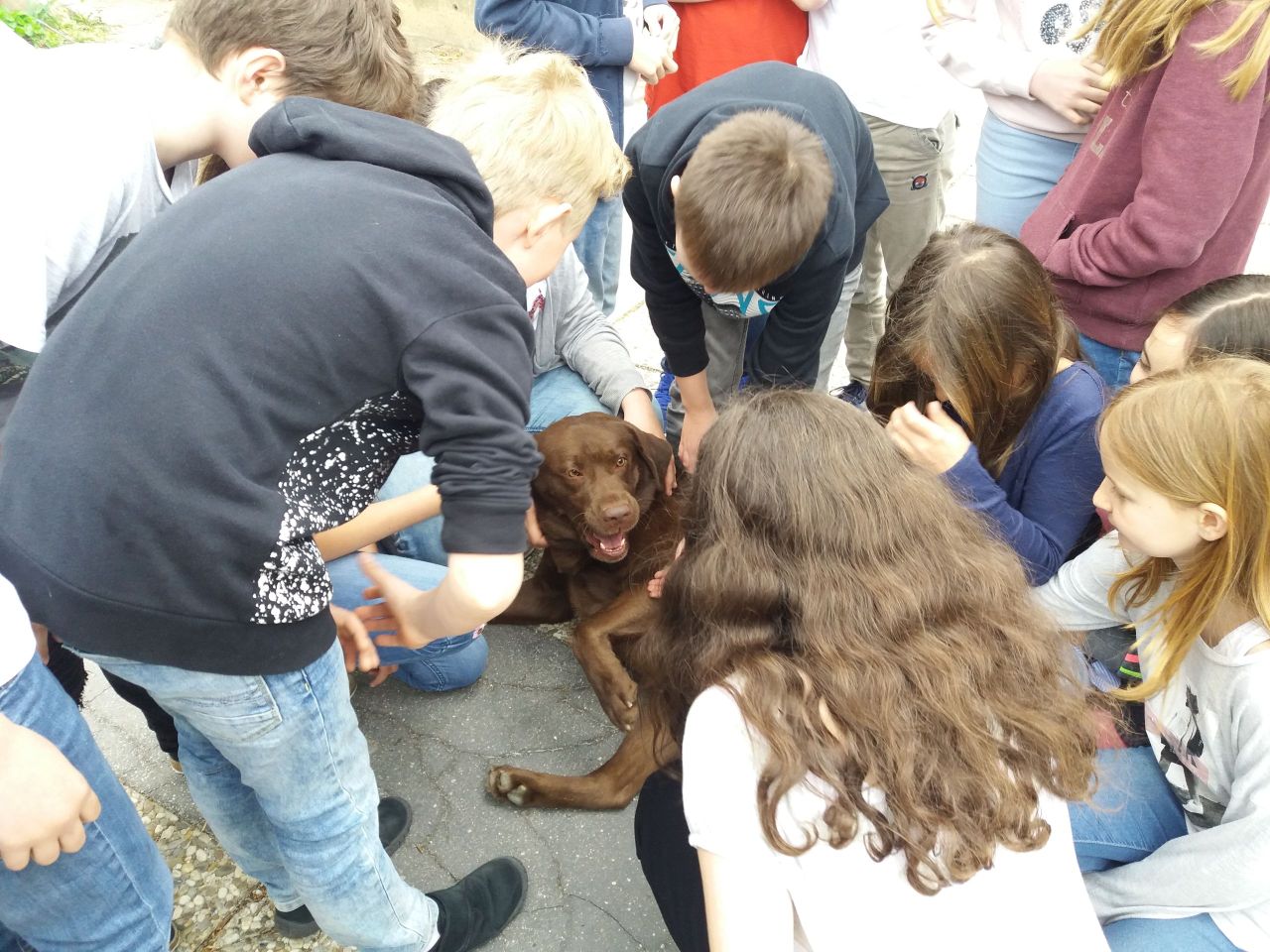 Hundesbesuch im Schulgarten