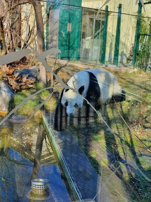 Tiergarten Schönbrunn / Dialog im Dunkeln