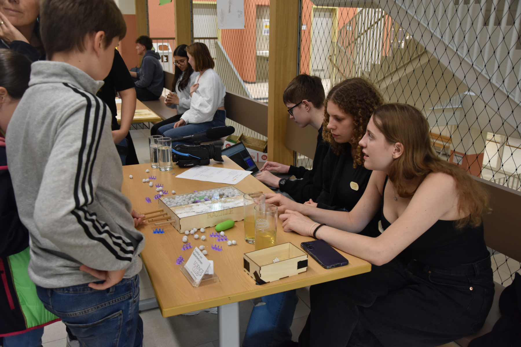 Science Fair am BRG Gröhrmühlgasse