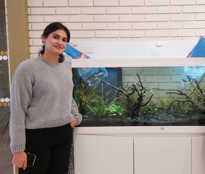 Endlich: Fische im Aquarium!